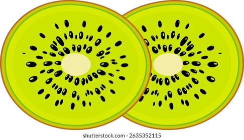 Ilustración vectorial de la fruta del kiwi trazada manualmente aislada en el fondo blanco