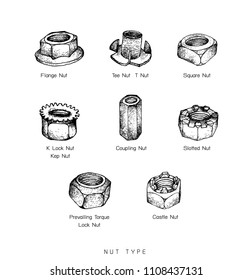 Manufacturing and Industry, Illustration Hand Drawn Sketch Set of Nuts Type. A Type of Fastener with Threaded Hole Used in Conjunction with A Mating Bolt to Fasten Parts Together.
