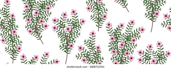 Manuka Flower Seamless Pattern, New Zealand Tea Tree