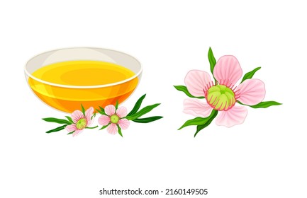 Manuka flowers and beneficial honey in glass cup vector illustration