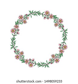 Manuka Honey branch, leaves and flower. Floral wreath. Hand drawn Vector illustration.