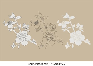 Manuka Honey branch, leaves and flower. Hand drawn Vector illustration