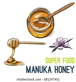 Manuka honey. Full color super food hand drawn sketch vector illustration.