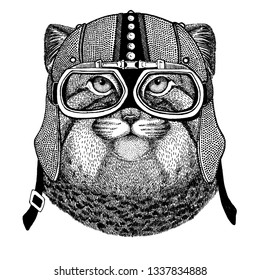 Manul, cat wearing motorcycle, aero helmet. Biker illustration for t-shirt, posters, prints.