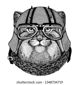 Manul, cat wearing a motorcycle, aero helmet. Hand drawn image for tattoo, t-shirt, emblem, badge, logo, patch.