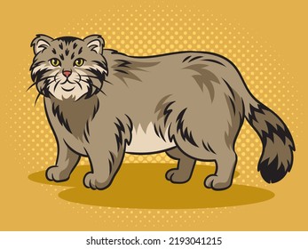 manul pallas cat pop art retro vector illustration. Comic book style imitation.