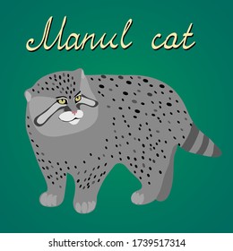 Manul (Palaskatze) Vektorgrafik