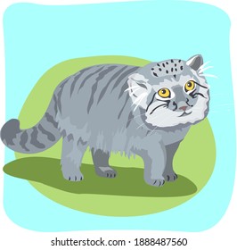 Manul Is A Predatory Mammal Of The Feline Family. Vector Illustration Realism.