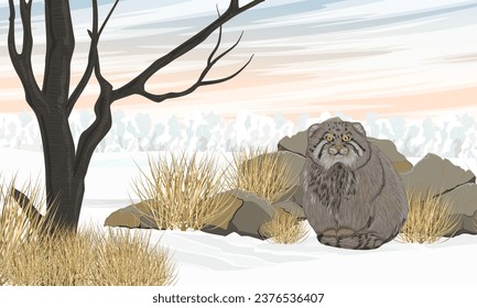 Manul se sienta en la nieve cerca de una gran piedra y árbol. Animales salvajes de Asia en invierno. Paisaje vectorial realista