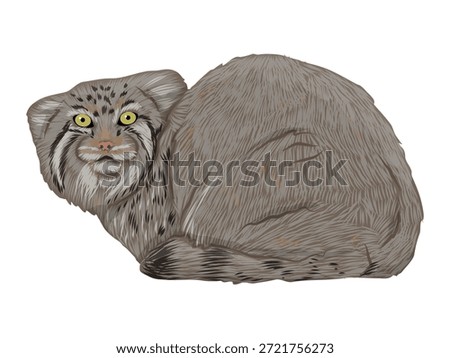 Manul is sitting. Realistic cat animals of Asia. Vector animals