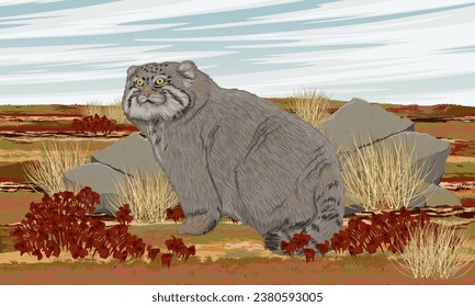 Manul. in the summer tundra. Wildlife of Asia. Realistic vector landscape