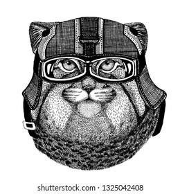 Manul, wild cat Hipster animal wearing motorycle helmet. Image for kindergarten children clothing, kids. T-shirt, tattoo, emblem, badge, logo, patch