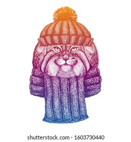 Manul, wild cat. Ski, skier animal wearing woolen knitted hat. Christmas time. Cartoon character for little children. Kids print for shirts. Nursery decor.
