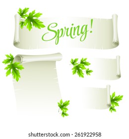 Manuscript template with green leaves. Vector illustration EPS 10