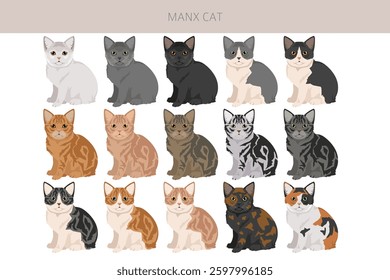 Manx Cat clipart. All coat colors set.  All cat breeds characteristics infographic. Vector illustration