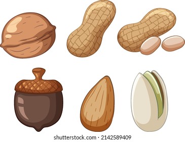 Many acorns walnuts almonds peanuts pistachios cartoon style  illustration