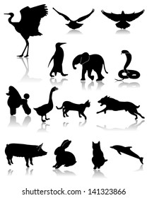 Many animal design,vector