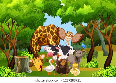 Many animal in the forest illustration