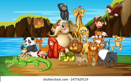 Many animals by the river illustration