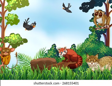 Many animals in the forest