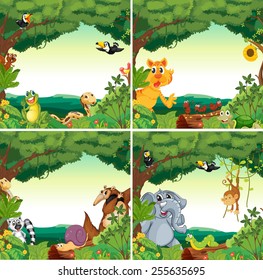 Many animals in the forests