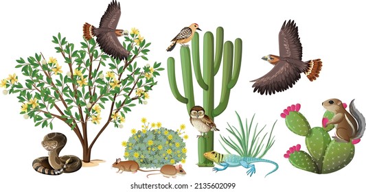 Many animals in the garden illustration