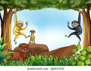 Many animals living in the jungle