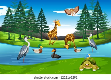 Many animals in nature illustration