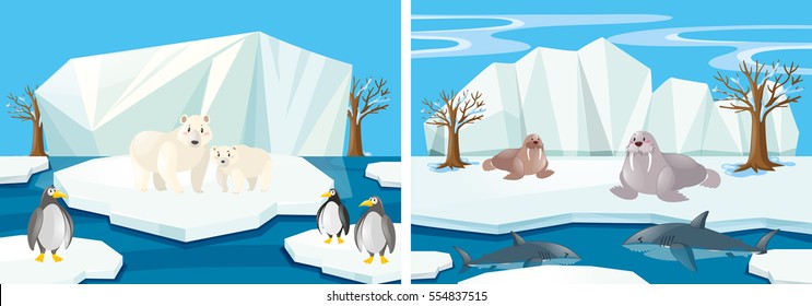 Many animals in the north pole illustration