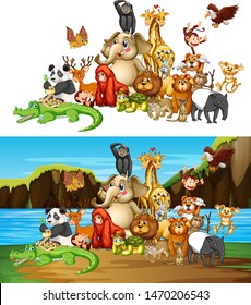 Many animals on two different background illustration