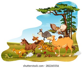 Many animals running in the field