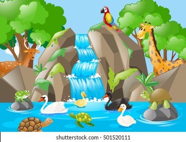 Many animals in the waterfall illustration