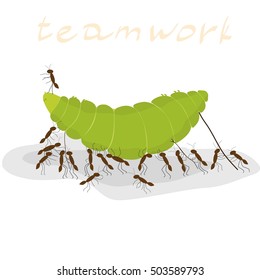 many ants dragging a green caterpillar on a white background, inscription teamwork