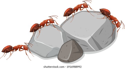 Many ants on stones on white background illustration