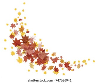 many autumn leaves fly