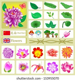 Many beautiful flowers material design