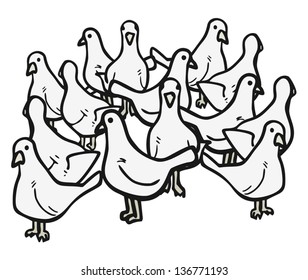 Many birds