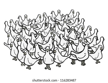 Many birds draw