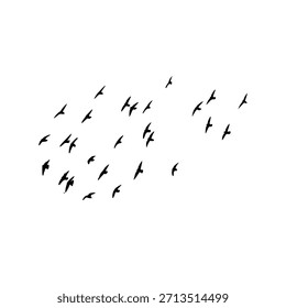 Muchos pájaros vuelan en el cielo