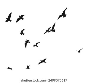 Many birds flying on sky isolated on white background.