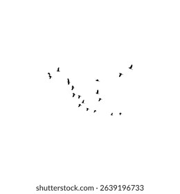 Many birds flying on sky isolated on white background.