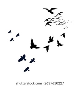 many Birds flying in the sky capture the essence of freedom, grace, and the natural rhythm of life in motion.
