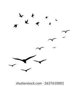 Many Birds flying in the sky symbolize freedom, grace, and the beauty of the natural world in motion. 
