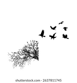 many birds are flying. Birds flying through the sky evoke a sense of freedom, harmony, and the natural beauty of flight.
