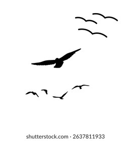 many Birds flying through the sky symbolize freedom, grace, and the harmony of nature in motion.
