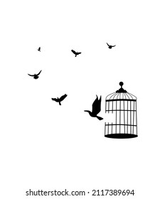 Many birds are leaving the cage 
