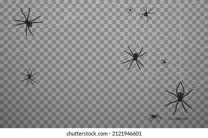 Many black spiders with web vector realistic illustration. Dangerous insects hanging on network trap isolated. Creepy toxic pests with poison or wild predators with deadly venom waiting victim