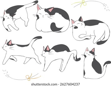 Many black and white cats had gathered.