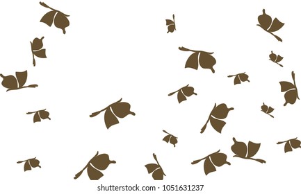 Many Brown Butterflies on White Background