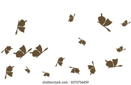 Many Brown Butterflies on White Background
